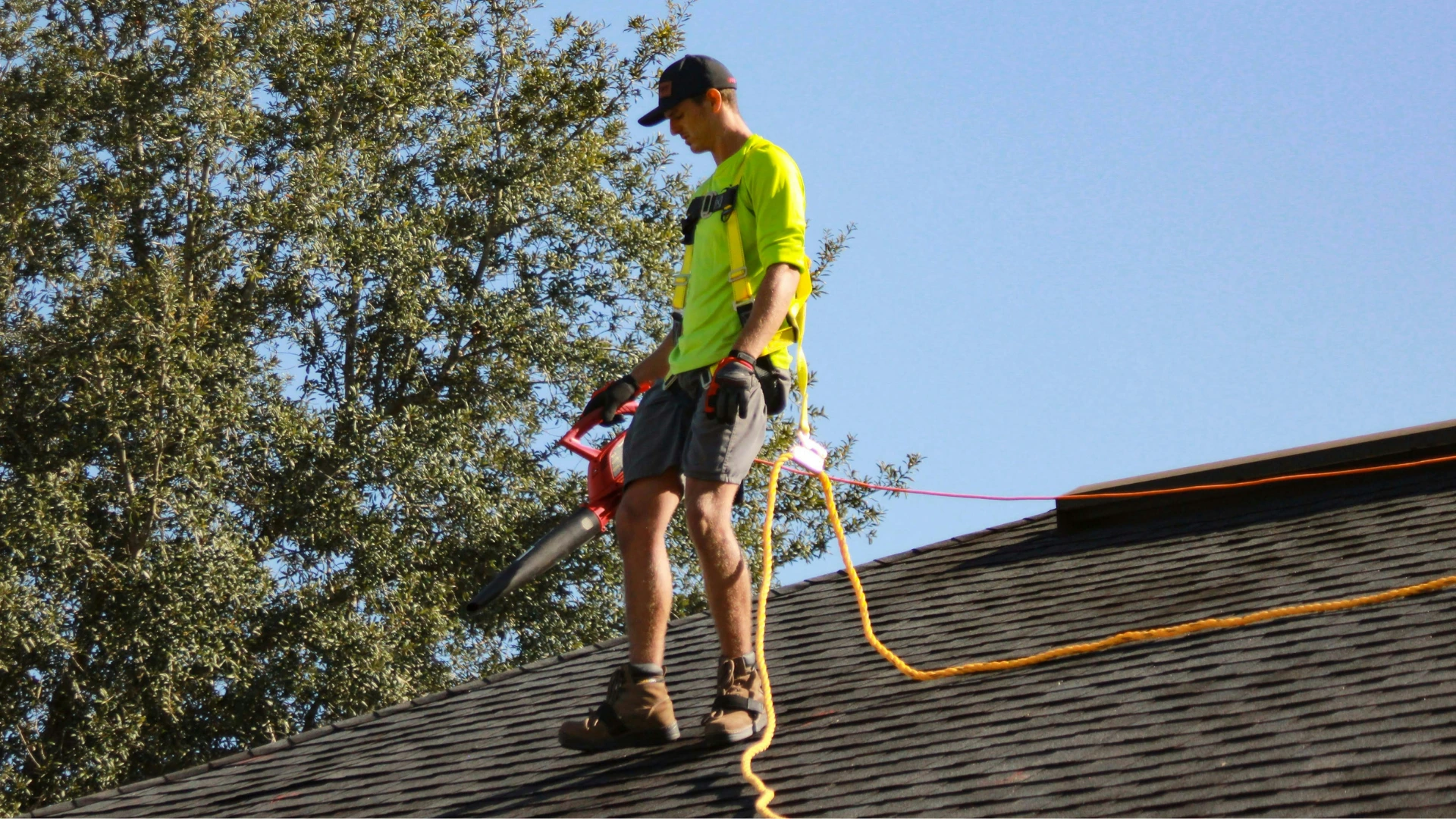 roof cleaning services